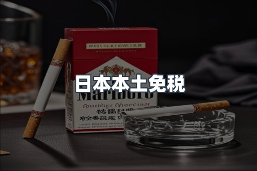 日本本土免税